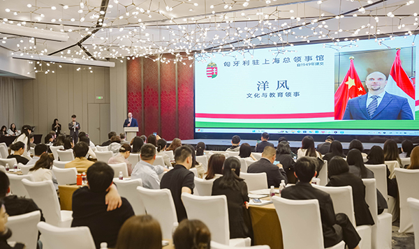 1745910846830537.jpg 11581632.jpg